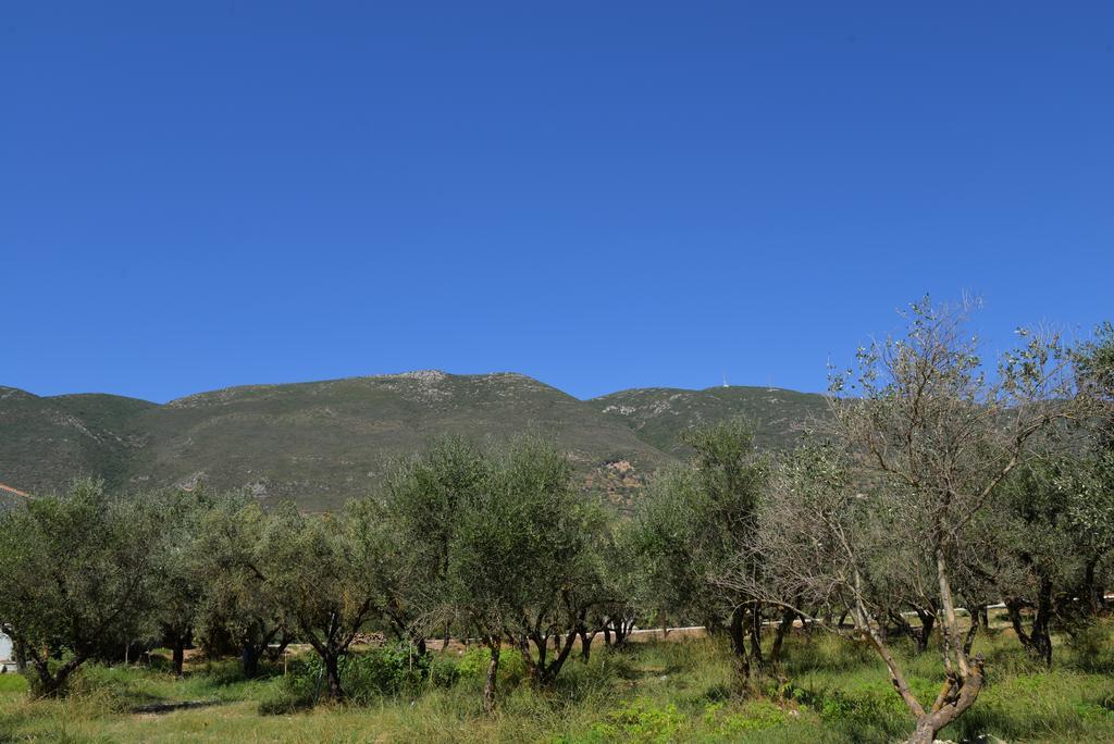 Cosmos Apartments Vasiliki  Bagian luar foto